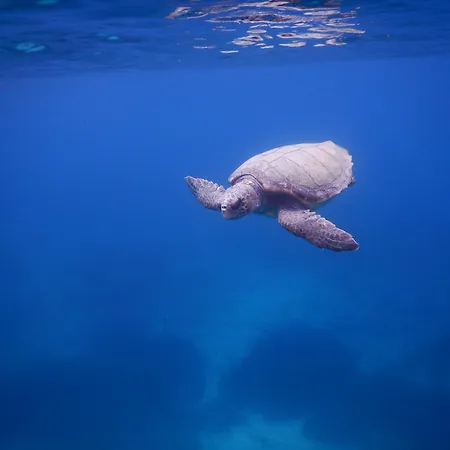 Апарт-отель Villasabella1 Лаганас